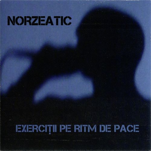Norzeatic - Exerciții pe ritm de pace